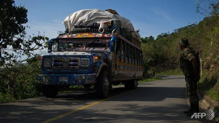 A member of the Revolutionary Armed Forces of Colombia (FARC) guerrillas stops a chiva at a checkpoint on route between Caloto and Toribio, department of Cauca, Colombia. (AFP/File/Luis Robayo)