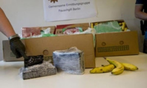 'Baby narcos' use front companies to move cocaine