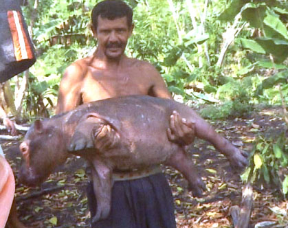 James Torres handling Juaco, a baby hippo (Photo: Manuel Rueda / Fusion)