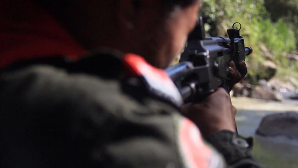 eln_guerrilla2